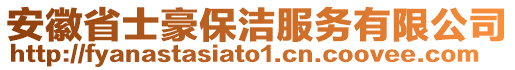 安徽省士豪保潔服務(wù)有限公司