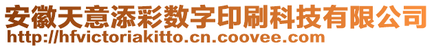 安徽天意添彩數(shù)字印刷科技有限公司