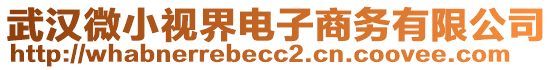 武漢微小視界電子商務有限公司