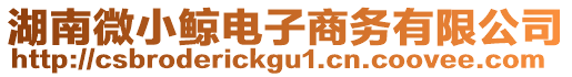 湖南微小鯨電子商務(wù)有限公司