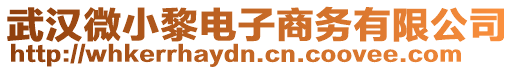 武漢微小黎電子商務(wù)有限公司