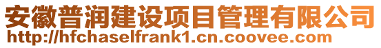 安徽普潤建設(shè)項目管理有限公司