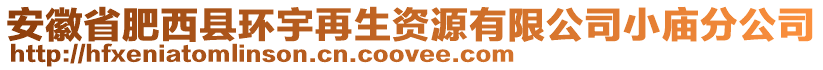 安徽省肥西縣環(huán)宇再生資源有限公司小廟分公司