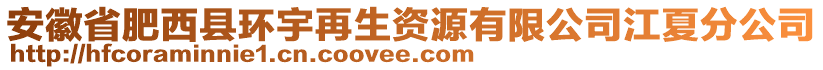 安徽省肥西縣環(huán)宇再生資源有限公司江夏分公司