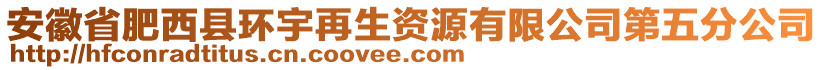 安徽省肥西縣環(huán)宇再生資源有限公司第五分公司