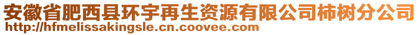 安徽省肥西縣環(huán)宇再生資源有限公司柿樹分公司