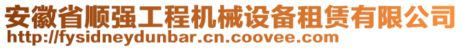安徽省順強(qiáng)工程機(jī)械設(shè)備租賃有限公司