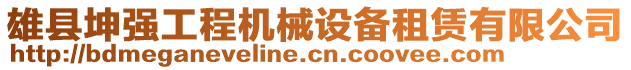 雄縣坤強(qiáng)工程機(jī)械設(shè)備租賃有限公司