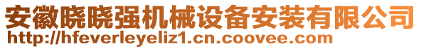 安徽曉曉強機械設備安裝有限公司