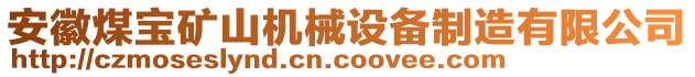 安徽煤寶礦山機(jī)械設(shè)備制造有限公司