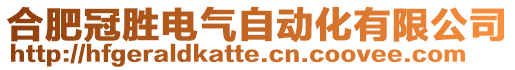 合肥冠勝電氣自動化有限公司