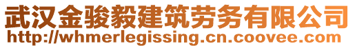 武漢金駿毅建筑勞務(wù)有限公司