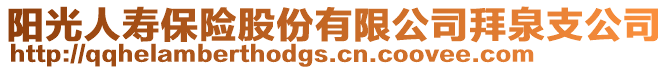 陽光人壽保險股份有限公司拜泉支公司