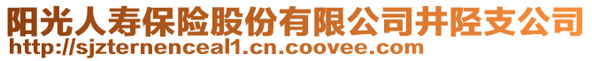 陽光人壽保險股份有限公司井陘支公司