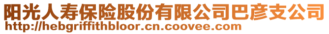 陽光人壽保險股份有限公司巴彥支公司