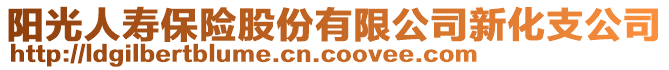 阳光人寿保险股份有限公司新化支公司