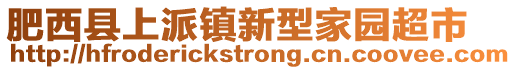 肥西县上派镇新型家园超市