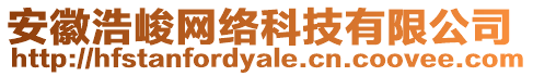 安徽浩峻網絡科技有限公司