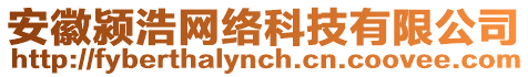 安徽潁浩網(wǎng)絡(luò)科技有限公司