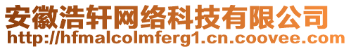 安徽浩軒網(wǎng)絡(luò)科技有限公司