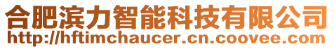 合肥濱力智能科技有限公司