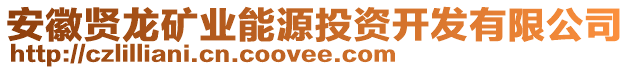 安徽賢龍礦業(yè)能源投資開(kāi)發(fā)有限公司