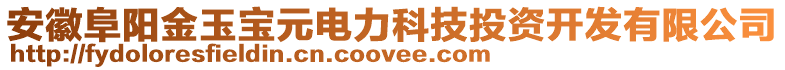 安徽阜陽金玉寶元電力科技投資開發(fā)有限公司