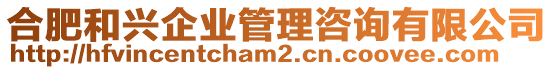 合肥和興企業(yè)管理咨詢有限公司