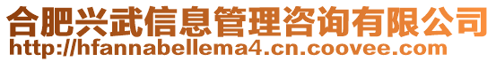 合肥興武信息管理咨詢有限公司