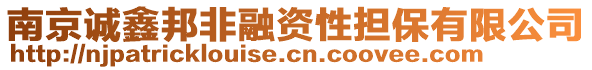 南京誠(chéng)鑫邦非融資性擔(dān)保有限公司