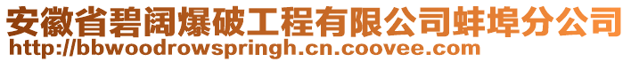 安徽省碧闊爆破工程有限公司蚌埠分公司