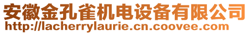 安徽金孔雀機(jī)電設(shè)備有限公司