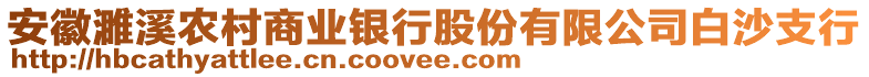 安徽濉溪農(nóng)村商業(yè)銀行股份有限公司白沙支行