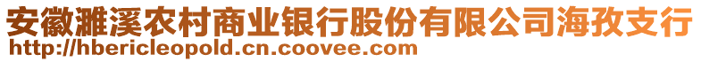 安徽濉溪農(nóng)村商業(yè)銀行股份有限公司海孜支行