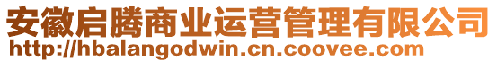 安徽啟騰商業(yè)運營管理有限公司