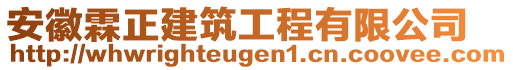 安徽霖正建筑工程有限公司