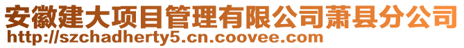 安徽建大項目管理有限公司蕭縣分公司