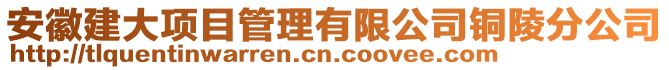 安徽建大項目管理有限公司銅陵分公司