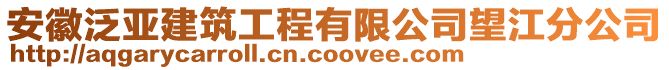 安徽泛亞建筑工程有限公司望江分公司