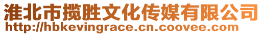 淮北市攬勝文化傳媒有限公司