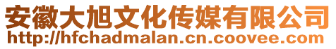 安徽大旭文化傳媒有限公司