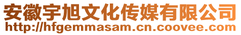 安徽宇旭文化傳媒有限公司