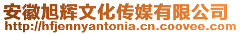 安徽旭輝文化傳媒有限公司