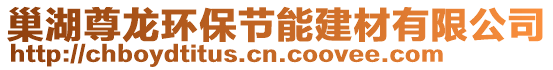 巢湖尊龍環(huán)保節(jié)能建材有限公司