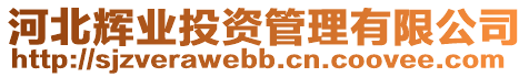河北輝業投資管理有限公司