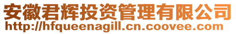 安徽君輝投資管理有限公司