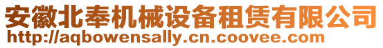 安徽北奉機械設備租賃有限公司