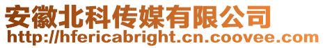 安徽北科傳媒有限公司