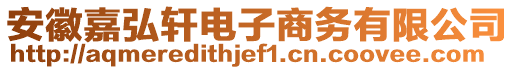 安徽嘉弘軒電子商務(wù)有限公司