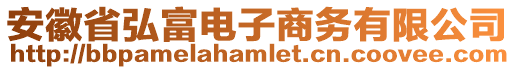 安徽省弘富電子商務有限公司